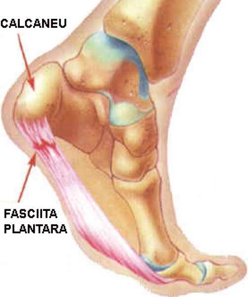 periostita articulațiilor tratamentului picioarelor
