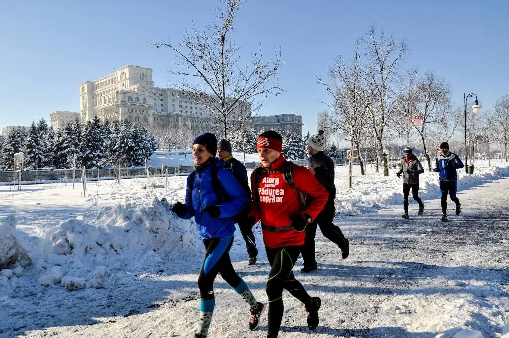 Inceputul unui vis “verde”